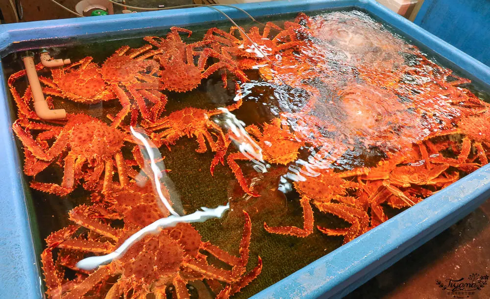 三角市場帝王蟹