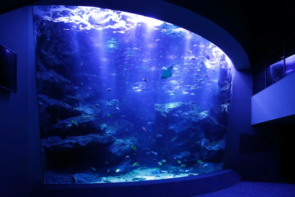 東京晴空塔水族館