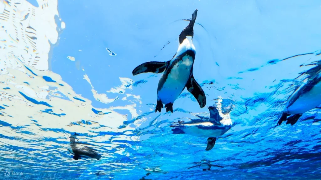 池袋陽光水族館